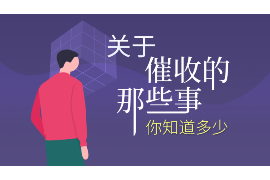 沈阳为什么选择专业追讨公司来处理您的债务纠纷？